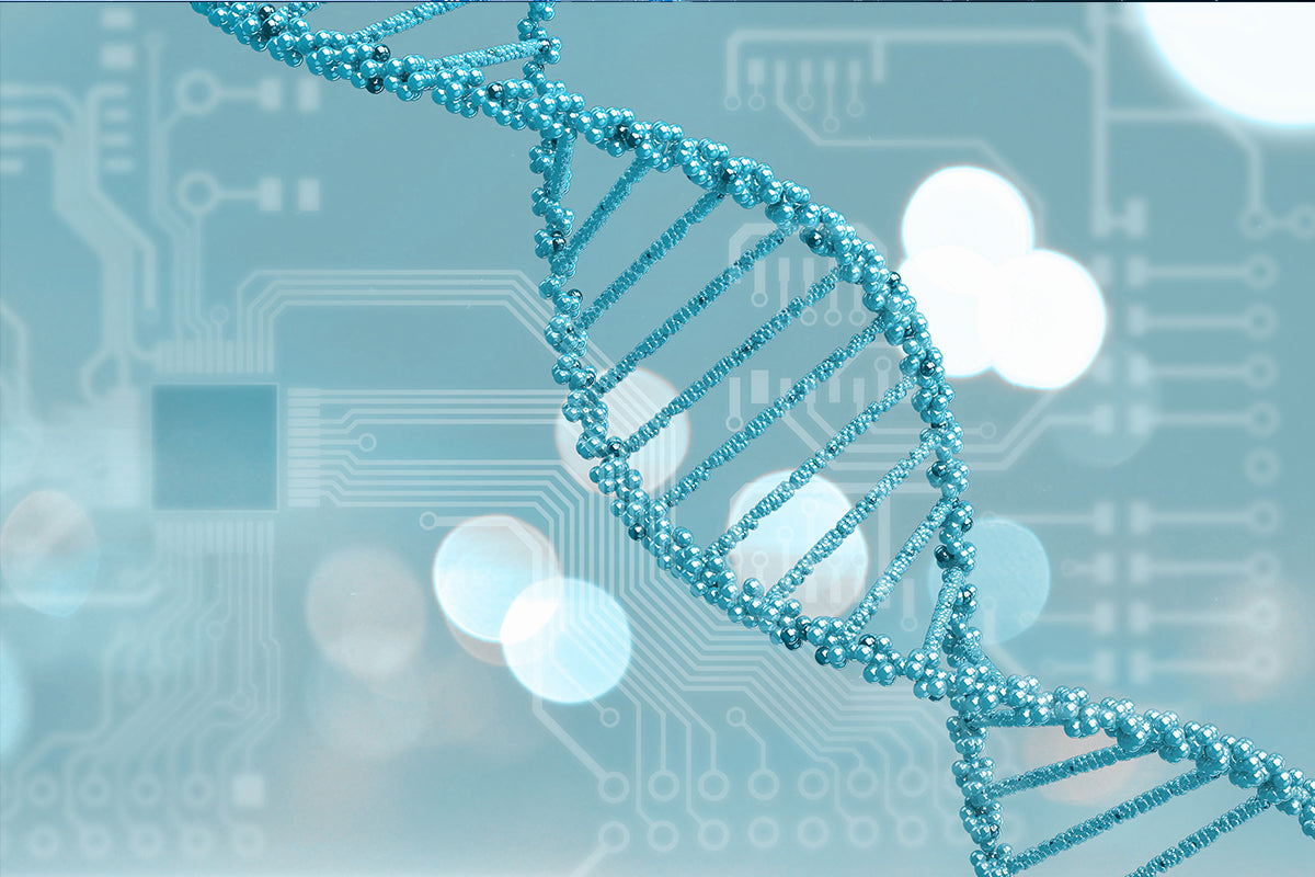 YEASEN Agarose— Directly Addressing Electrophoresis Pain Points, Running a Good Gel