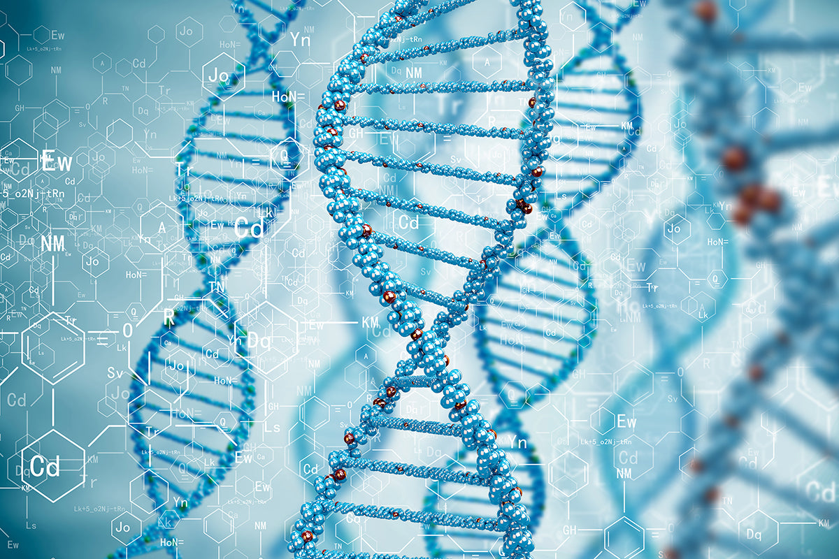 Direct PCR from Multiple Animal and Plant Samples