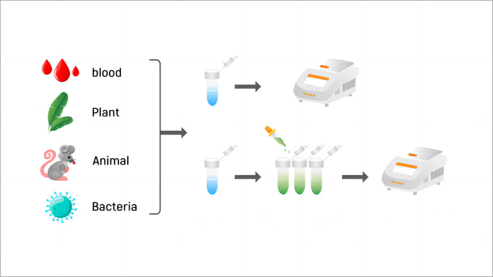 Direct PCR, No Extraction