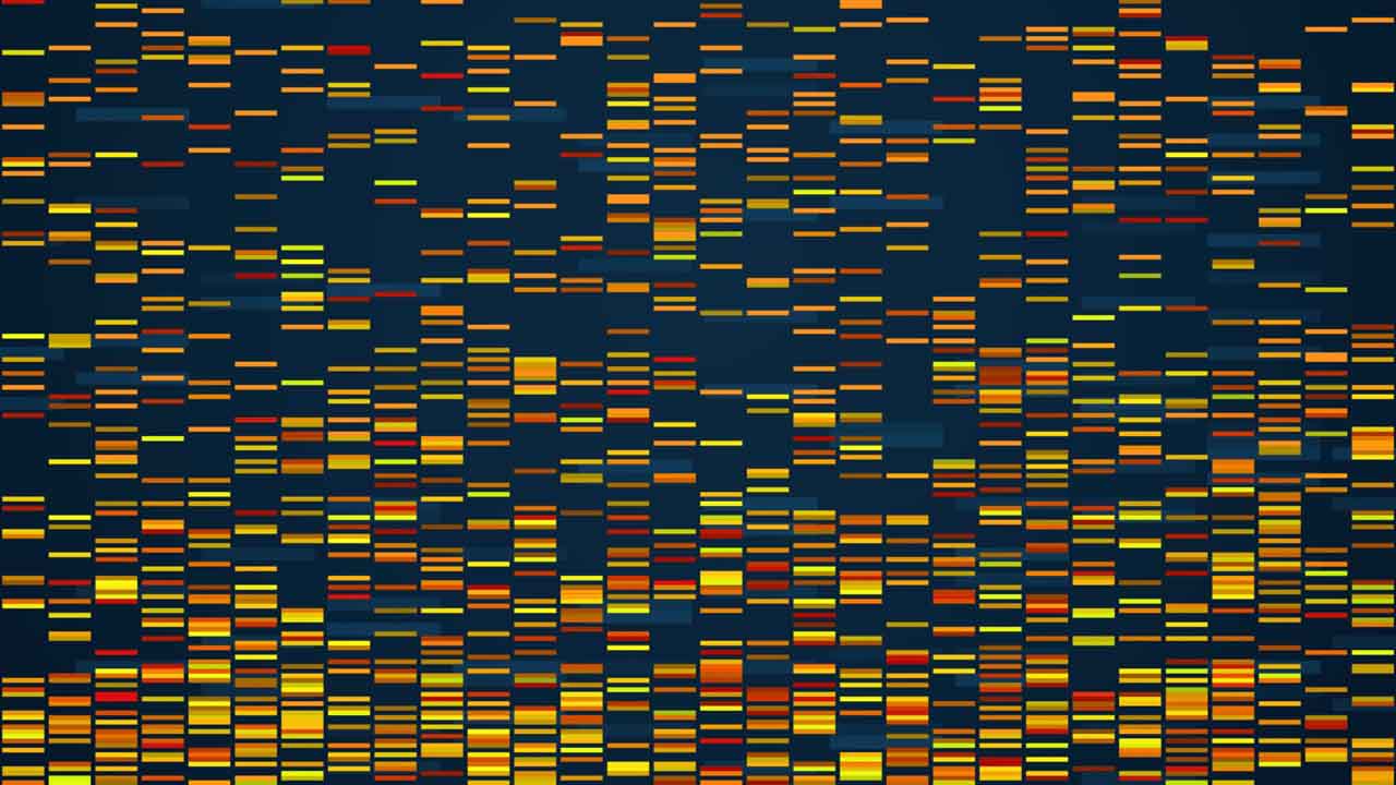 Have you learned how to build a PCR-Free library?