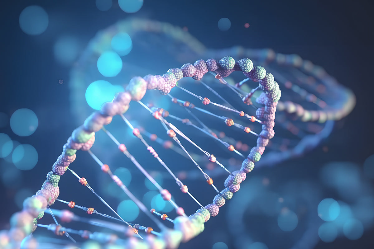 Luciferase reagents: Identify target cells by fluorescence in vivo experiments