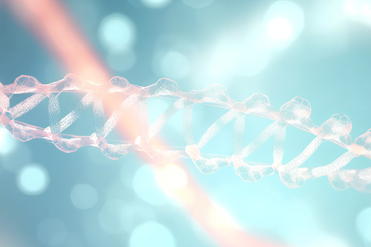 Signature assays for early apoptosis: JC-1, JC-10