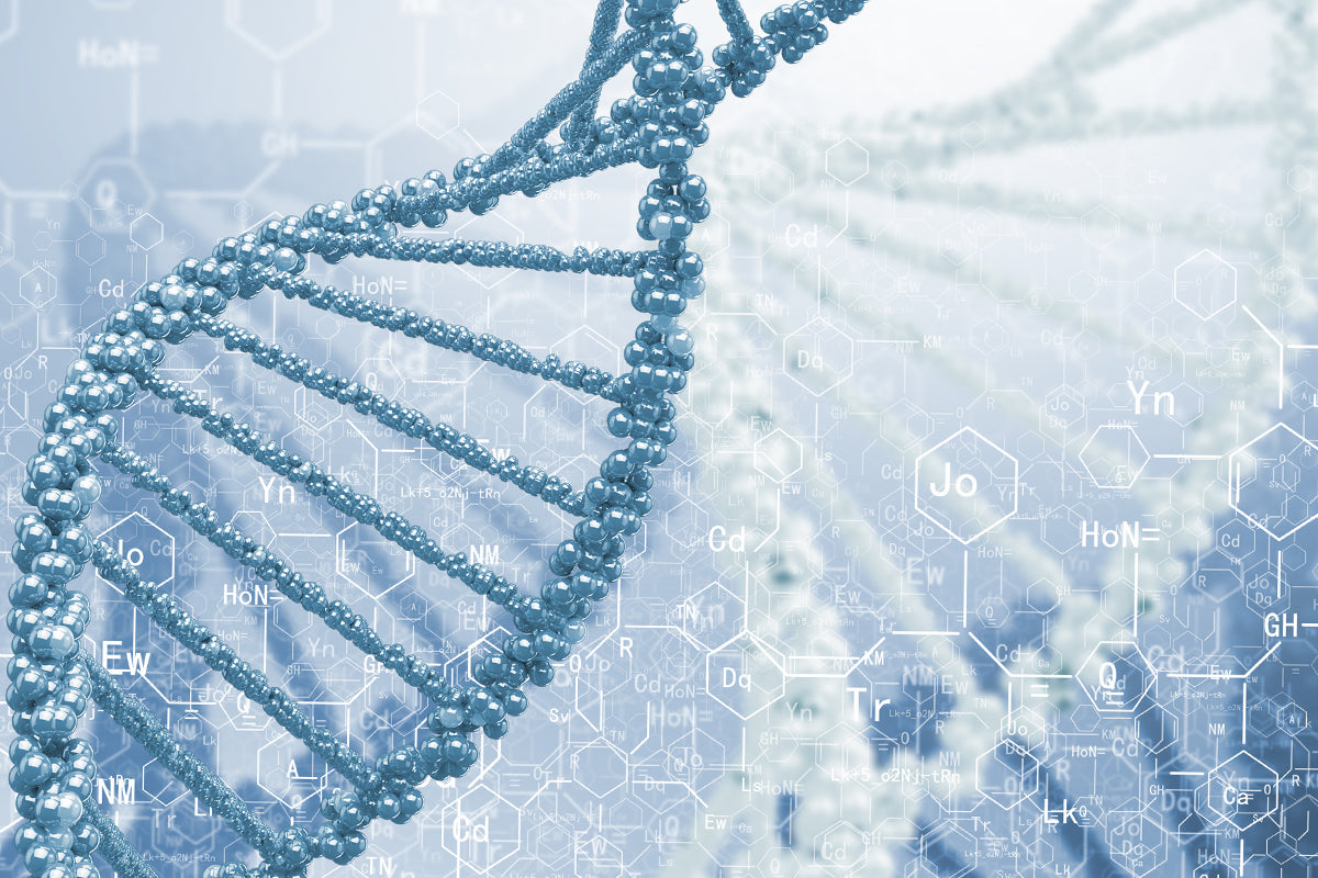 How to perform an efficient and cost-effective Tunel assay?