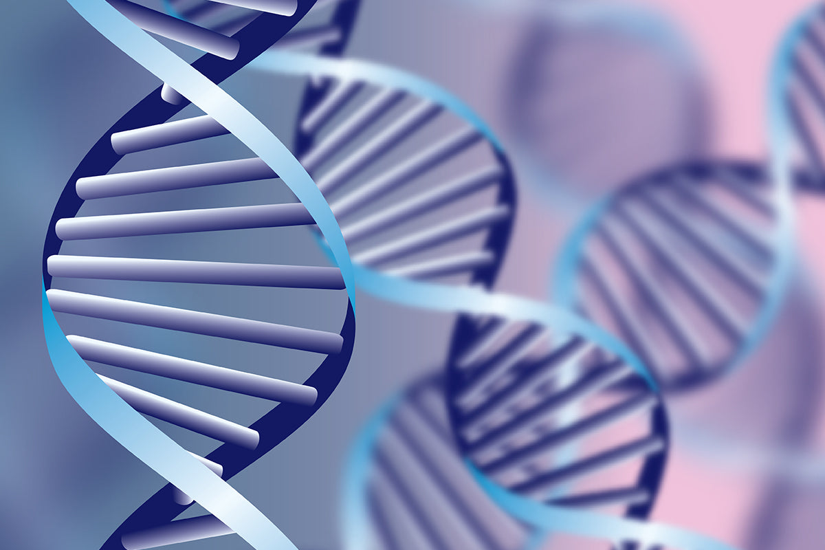 Establishment of Dextran sodium sulfate (DSS,Colitis Grade) Ulcerative Colitis Model