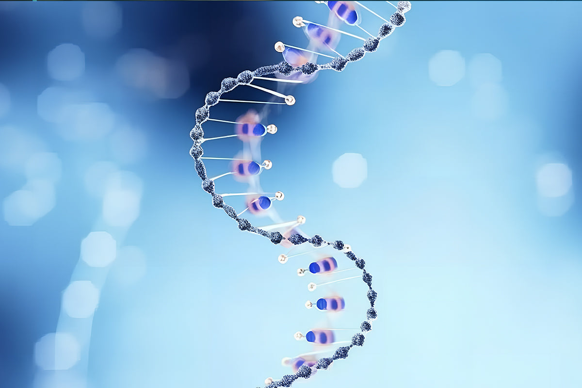 Guide to Choosing Loading Control and Epitope Tagging Antibodies