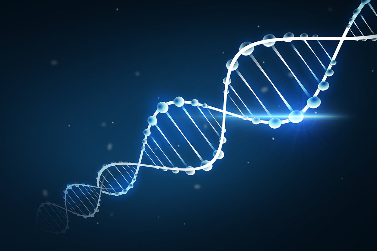 Establishment of Azoxymethane (AOM) and Dextran Sulfate Sodium (DSS,Colitis Grade) Induced Colitis-Associated Cancer Model