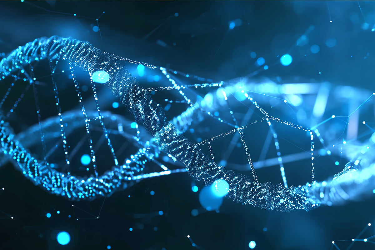 UltraNuclease (Benzonase Nuclease) – The total Solution for Nucleic Acid Residue removing in Biologics