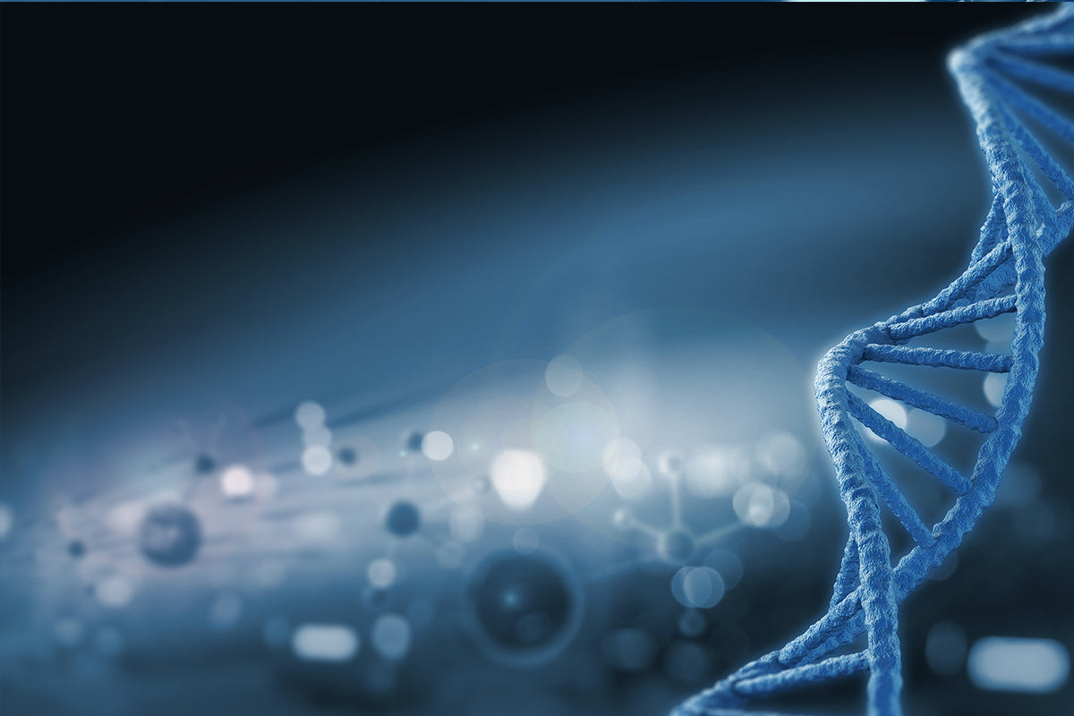 CleaScrip™ T7 RNA polymerase of Yeasen biotech provides Low dsRNA security for mRNA technology!