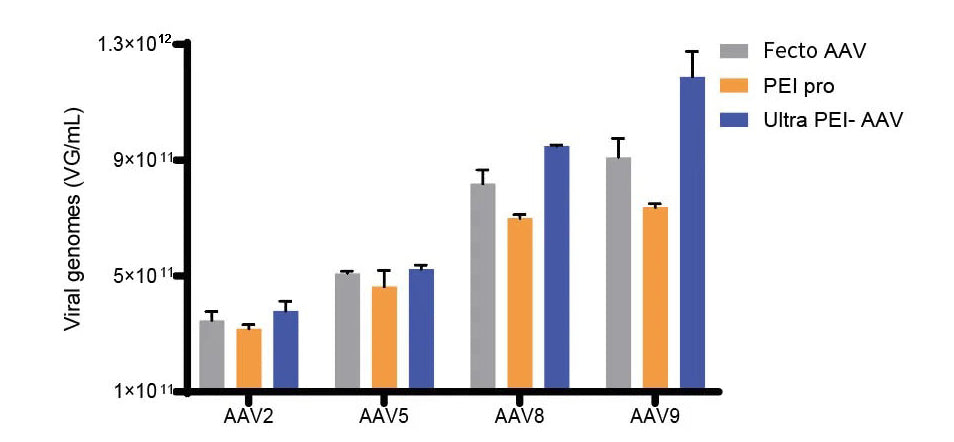 Linear PEI 40000,a more efficient transfection reagent