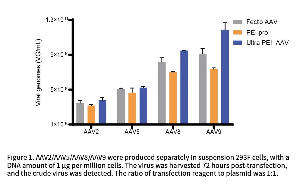 Linear PEI 40000,a more efficient transfection reagent