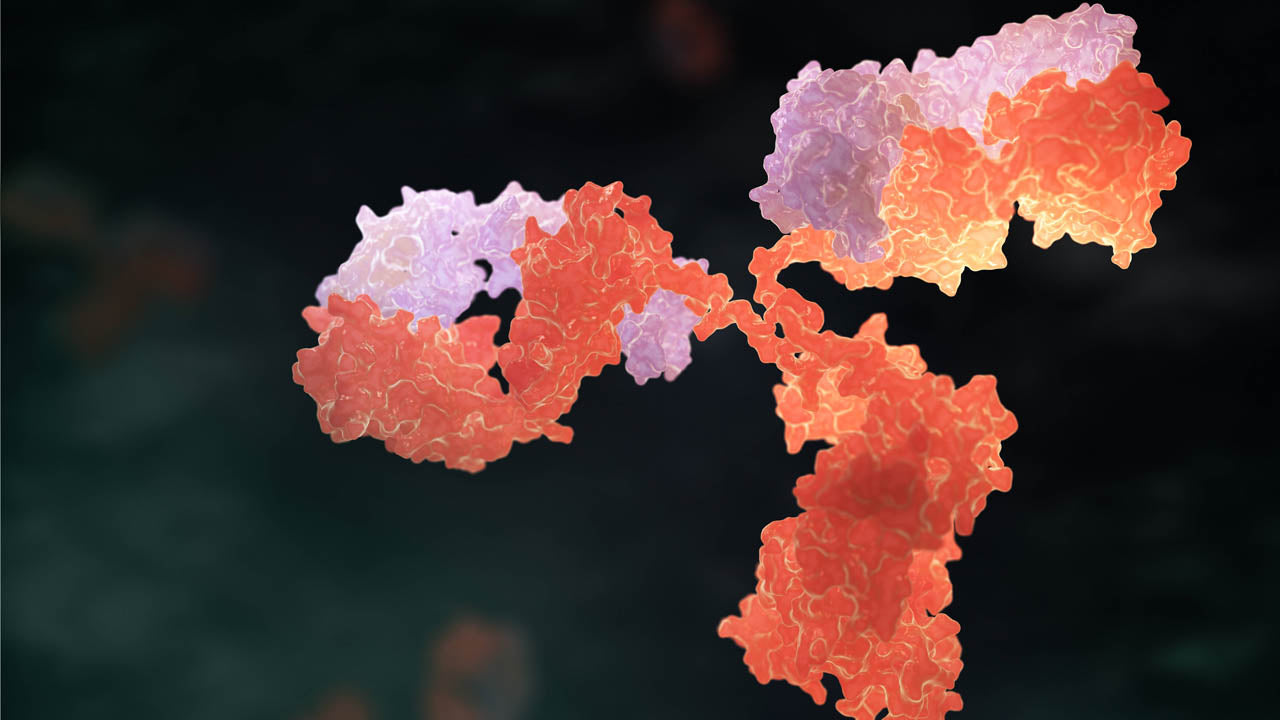 The Double-Block anti-Taq DNA Polymerase Antibody to Help Reducing Nonspecific Amplification