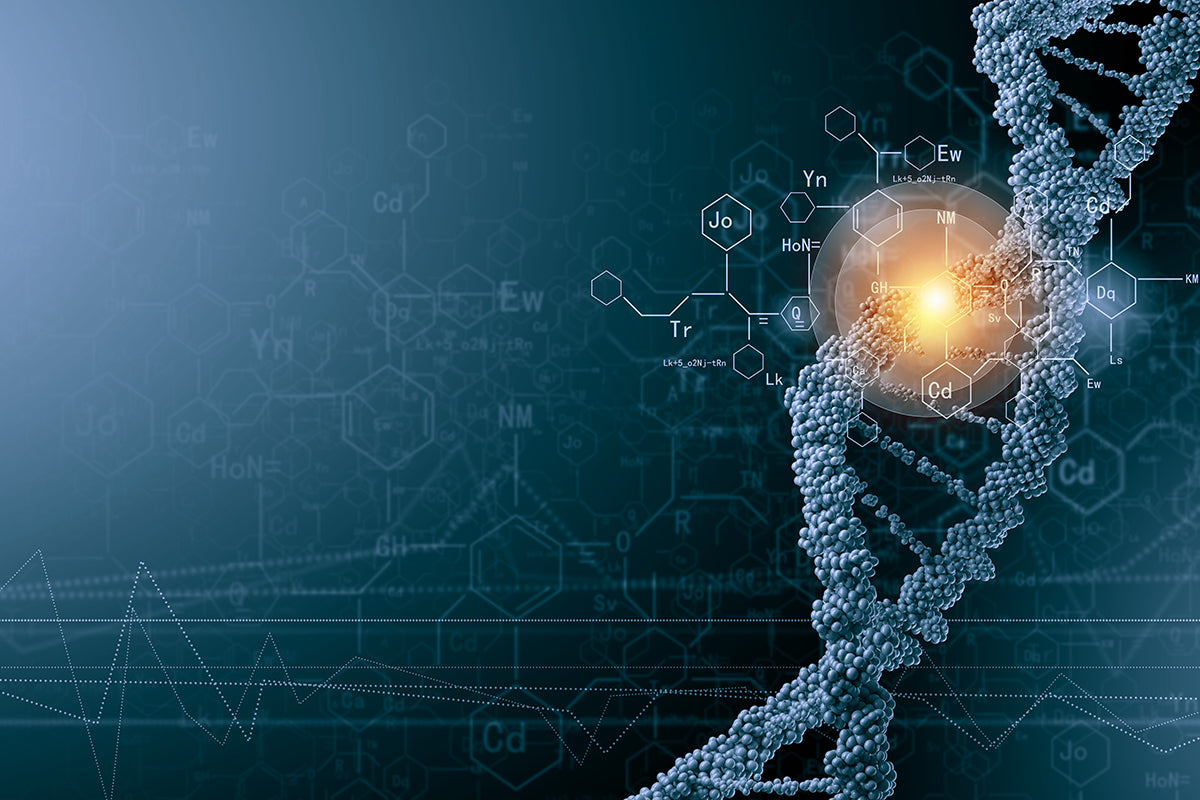 Recombinant Human Lysozyme