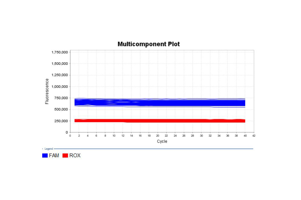 CHO Host Cell DNA Residue Detection Kit (3G) Validation Report