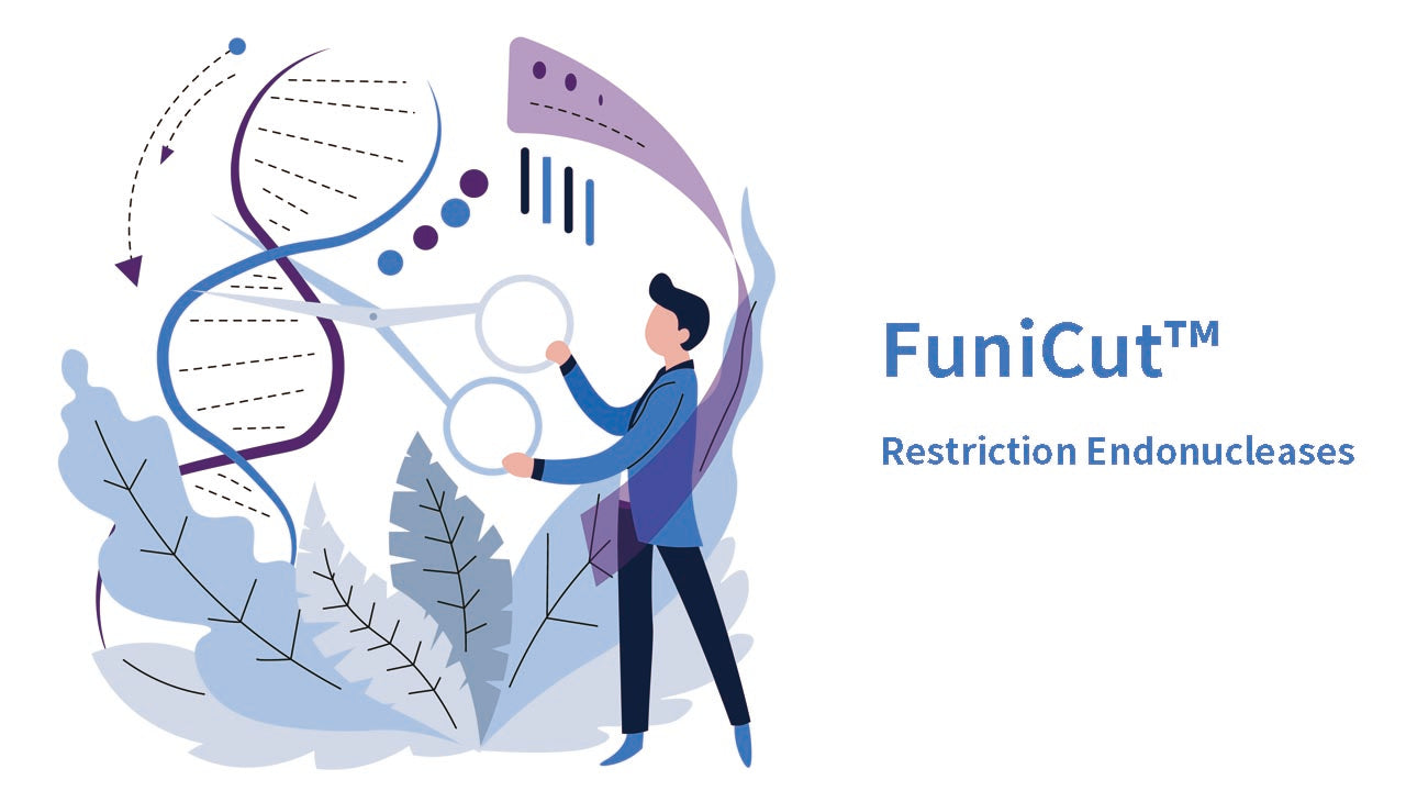 Restriction Endonucleases From the Yeasen FuniCut™ Series, 5 minutes Digestion With Universal Buffer