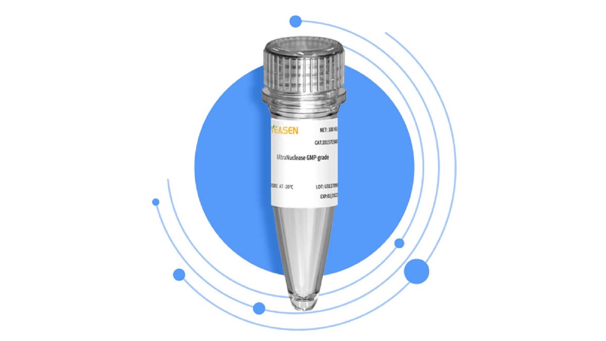 YEASEN UCF. ME ® UltraNuclease — Your BEST choice for degrading nucleic acids