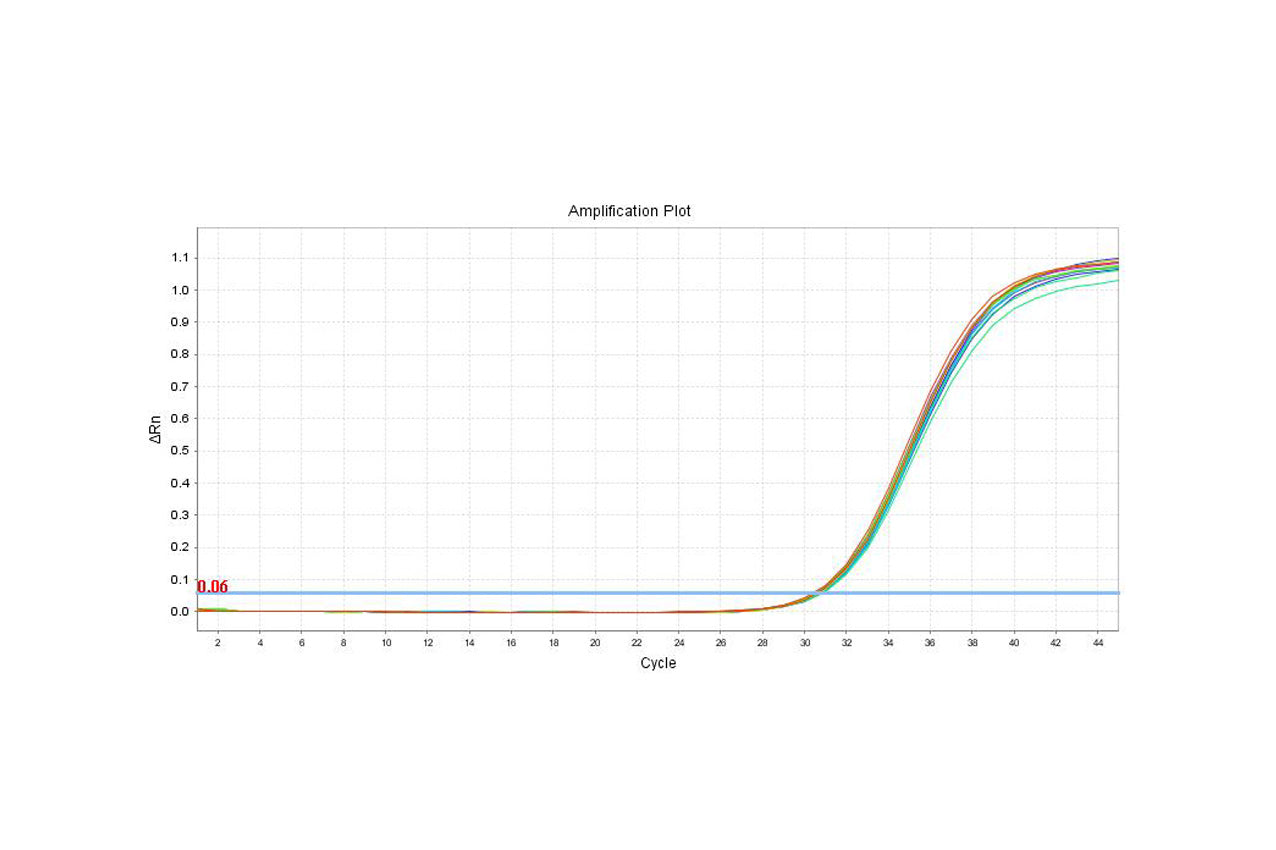 HEK293 Host Cell DNA Residue Detection Kit (3G) Validation Report