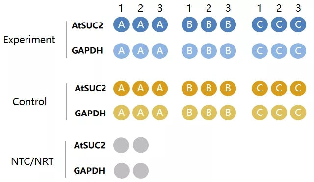 Simplify the complex! Let me guide you through qPCR data analysis with ease