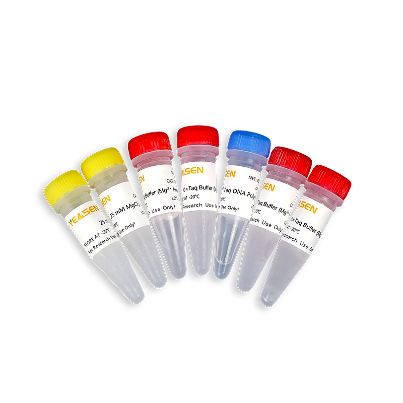 Hieff Taq DNA -polymerase _ 10101ES