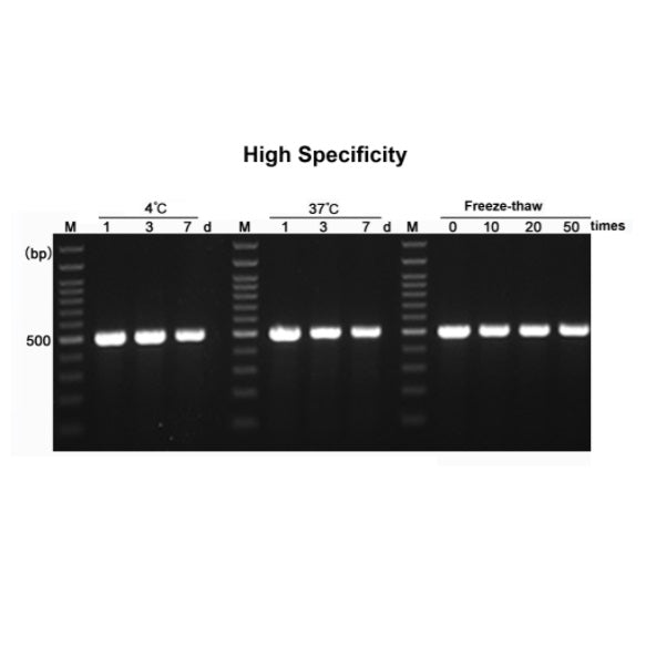 2 × Hieff ™ Hotstart PCR Genotyping Master Mix (med färgämne) _ 10108ES