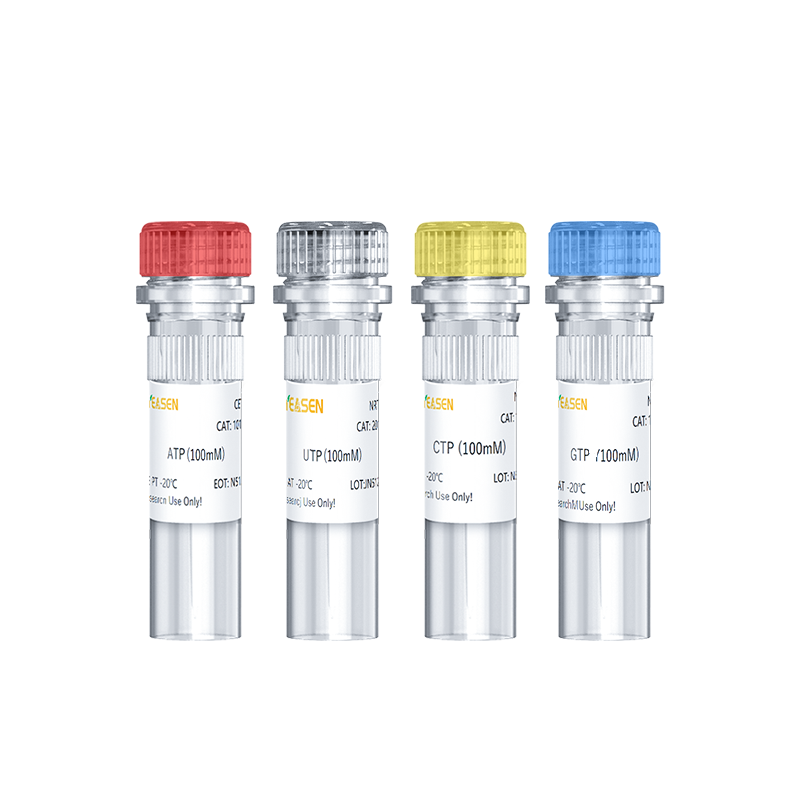 Soluzione set NTP (ATP, CTP, UTP, GTP, 100 mm ciascuno) -10133es