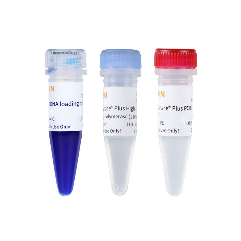 Hieff Canace™ Plus High-Fidelity DNA Polymerase _10153ES