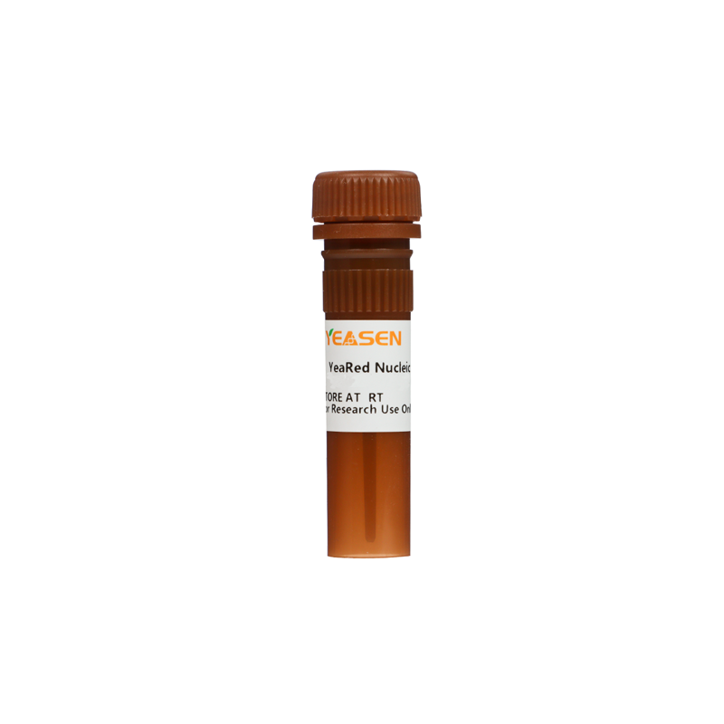 YeaRed Nucleic Acid Gel Stain (10,000× in Water) -10202ES