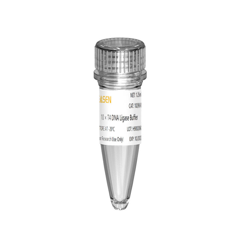 Hieff ™ versatile T4 DNA ligasi (600 U/µL)- Termotolerante e Fidelity High Fidelity 12996es