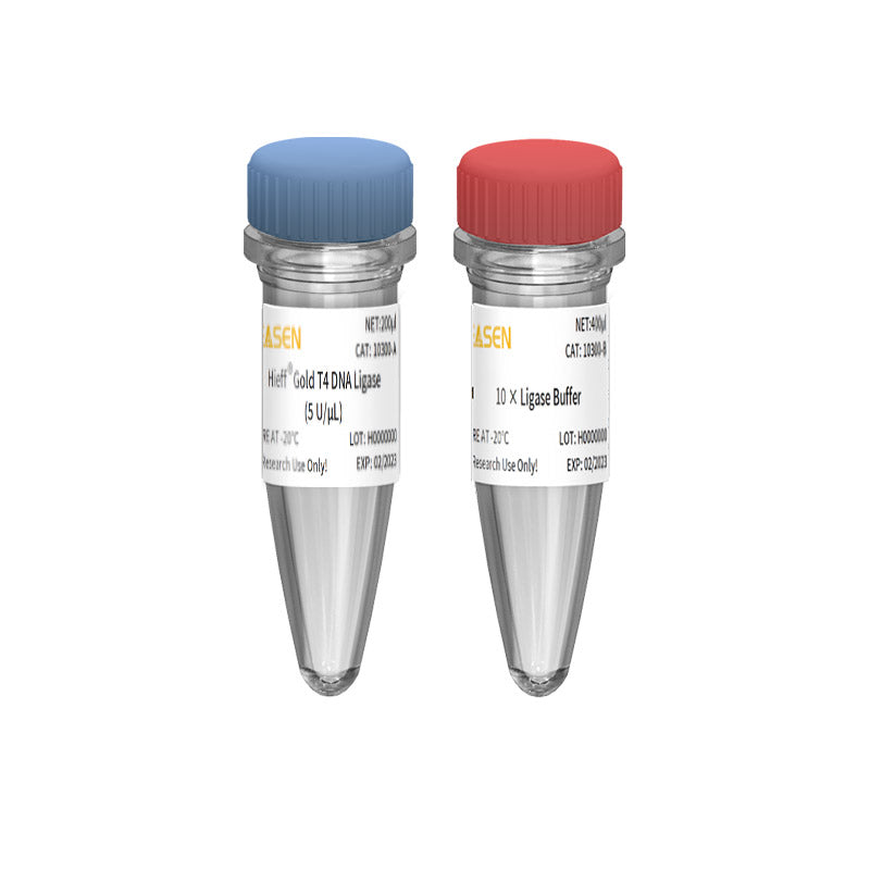 Hieff ™ Gold T4 DNA Ligase (5 U/μL) _ 10300ES