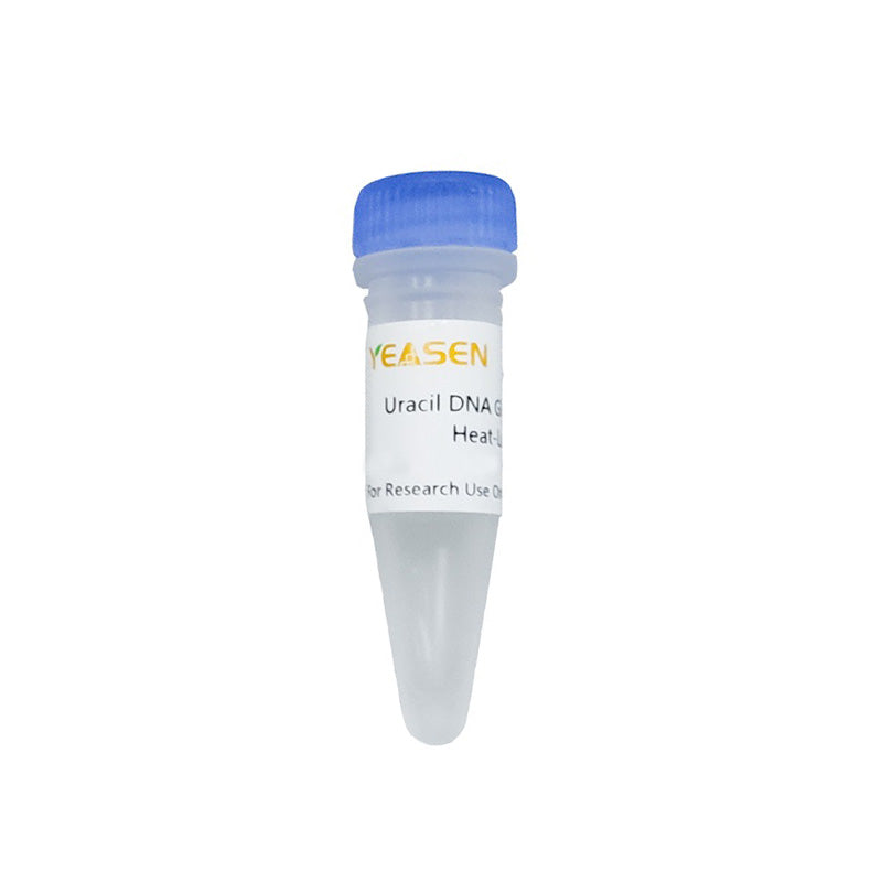 Uracil DNA glikosilase (UDG), heat-labil (bebas gliserol) (1 U/μl) -10707es