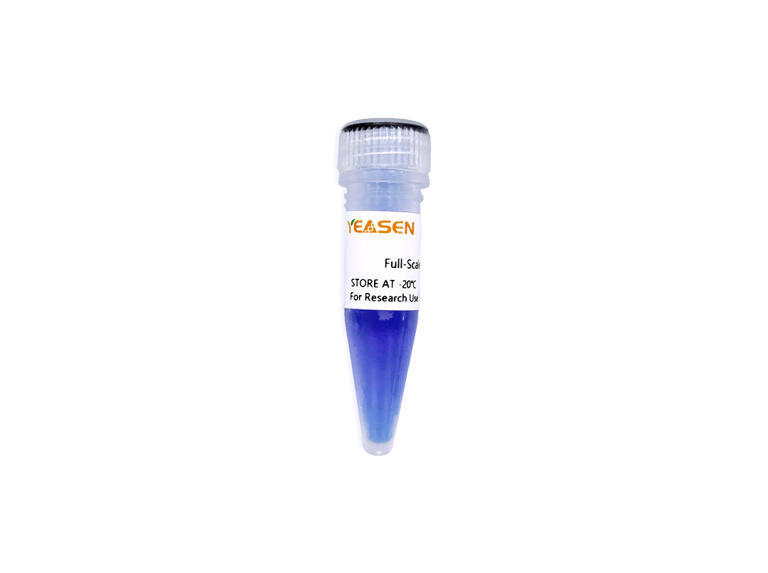 Goldband ™ fuldskala DNA-stige _ 10511es