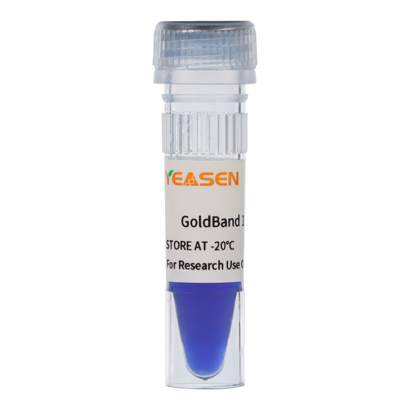 Goldband ™ DL15.000 DNA -markør _ 10512ES