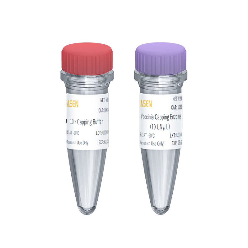 mRNA Vaccinia Capping Enzym GMP-kvalitet (10 U/μL) _ 10614ES