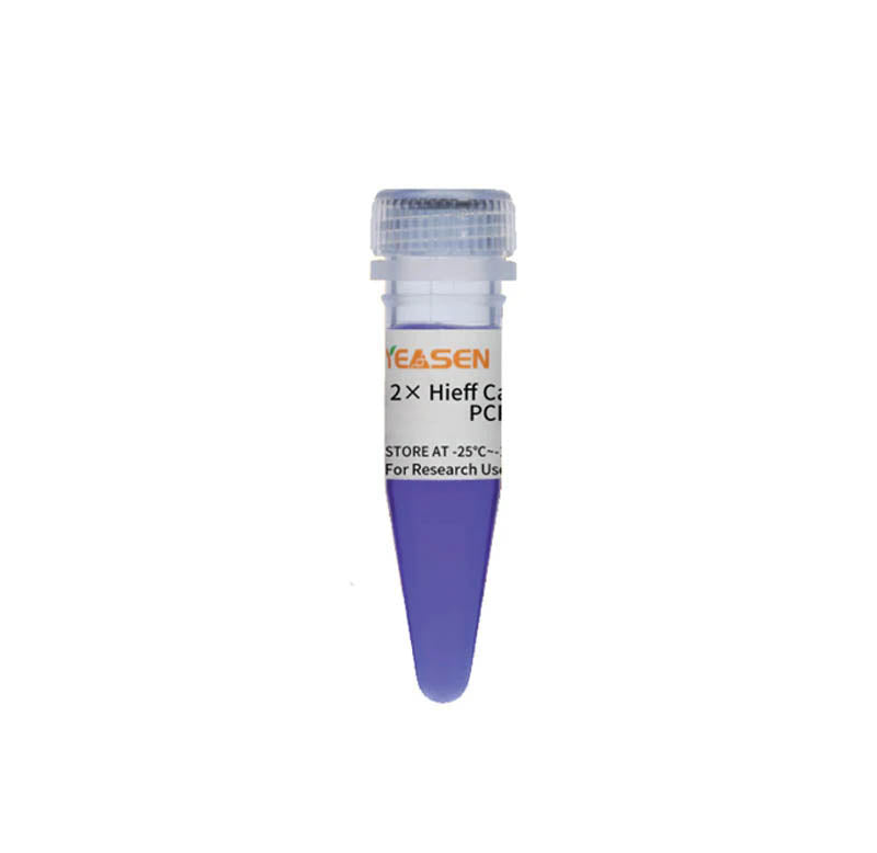 2 × Hieff Canace ™ plus PCR Master Mix (med färgämne) _ 10154ES