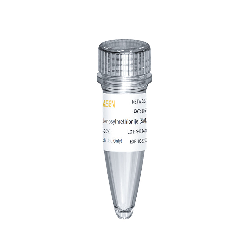 S-adenosylmetionine (SAM) GMP-klass (32 mm) -10619ES