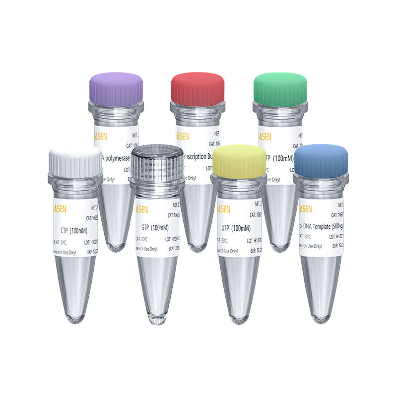 T7 RNA Synthesis Kit med højt udbytte -10623.