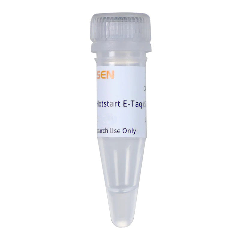 Hieff Unicon ™ Hotstart E-Taq DNA polimerasi, senza glicerolo (5 U/μL) -14316es