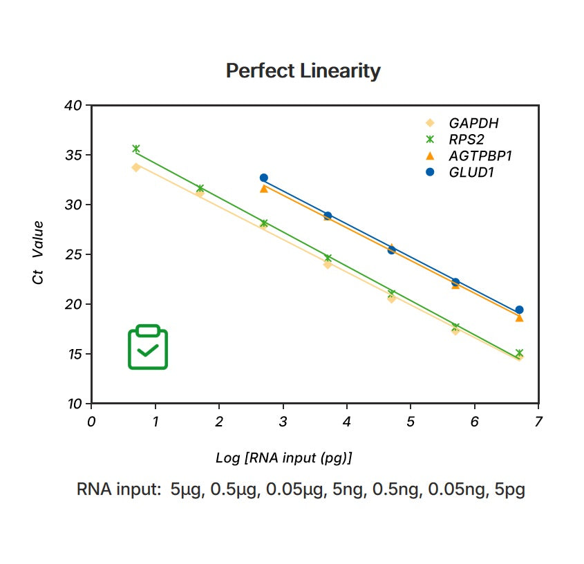 HiFair ™ III 1. Strand cDNA Synthesis Supermix til qPCR (gDNA Digester Plus) _ 11141ES