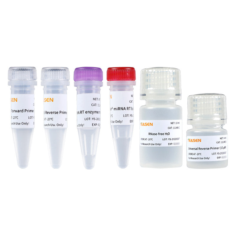 Hifair ™ miRNA 1. Strand cDNA Synthesis Kit -11148ES