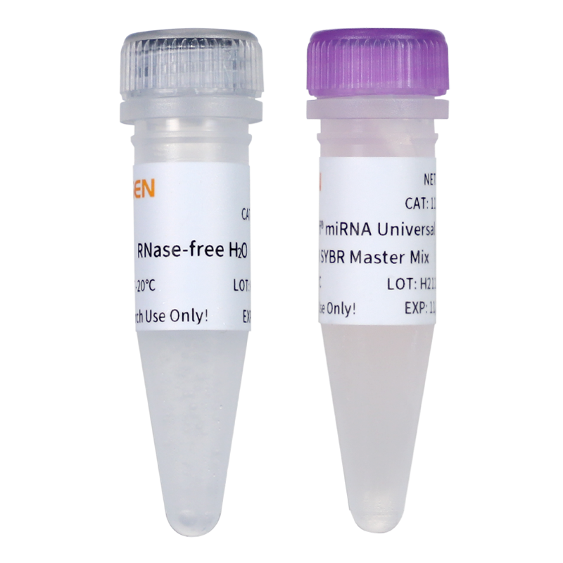 Hieff ™ miRNA Universal QPCR Master Mix _ 11171es