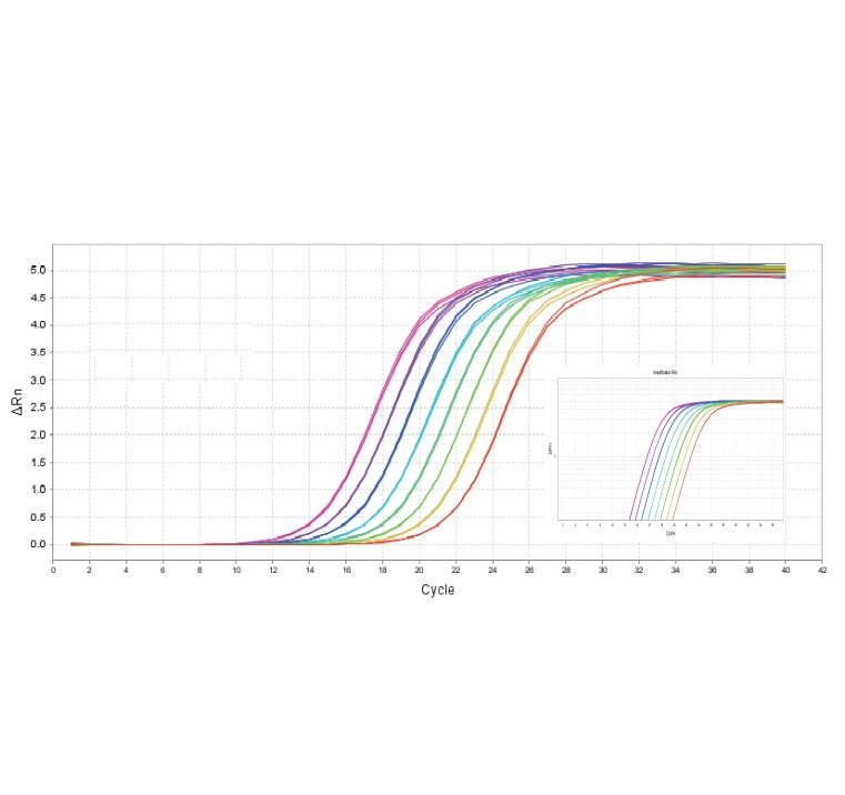 Hieff Unicon ™ Universal Blue QPCR Master Mix _ 11184es