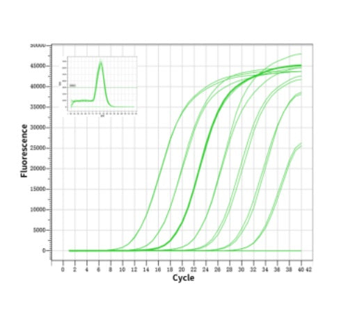 Hieff Unicon ™ Universal Blue QPCR Master Mix _ 11184es