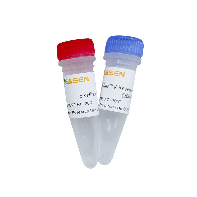 HIFAIR ™ V Reverse Transcriptase -11300ES