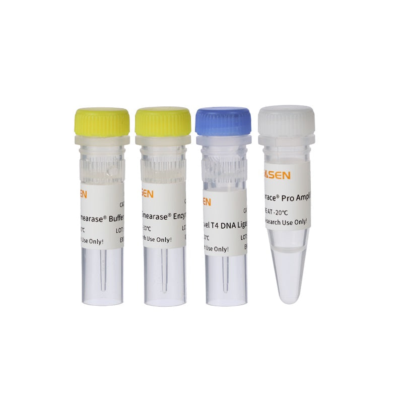 Hieff NGS ™ OnePot Flash DNA Library Prep Kit (enzymatisk) _ 12316ES