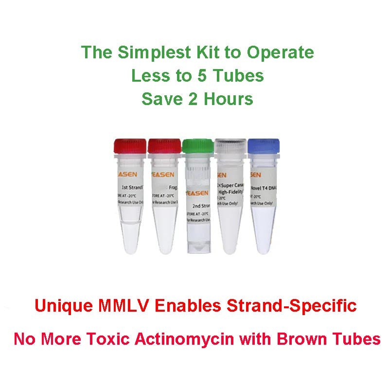 HIEFF NGS ™ EVOMAX RNA Library Prep Kit (strängspecifik) -12340ES