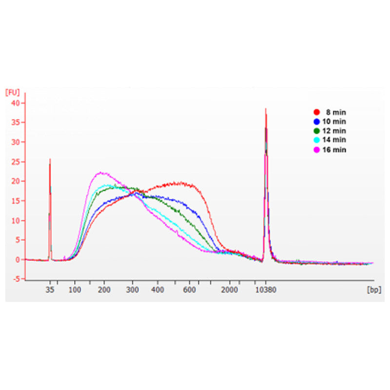 Hieff ngs ™ OnePot Pro DNA-fragmenteringsmodul (slutreparation och DA-tailing plus) -12619ES