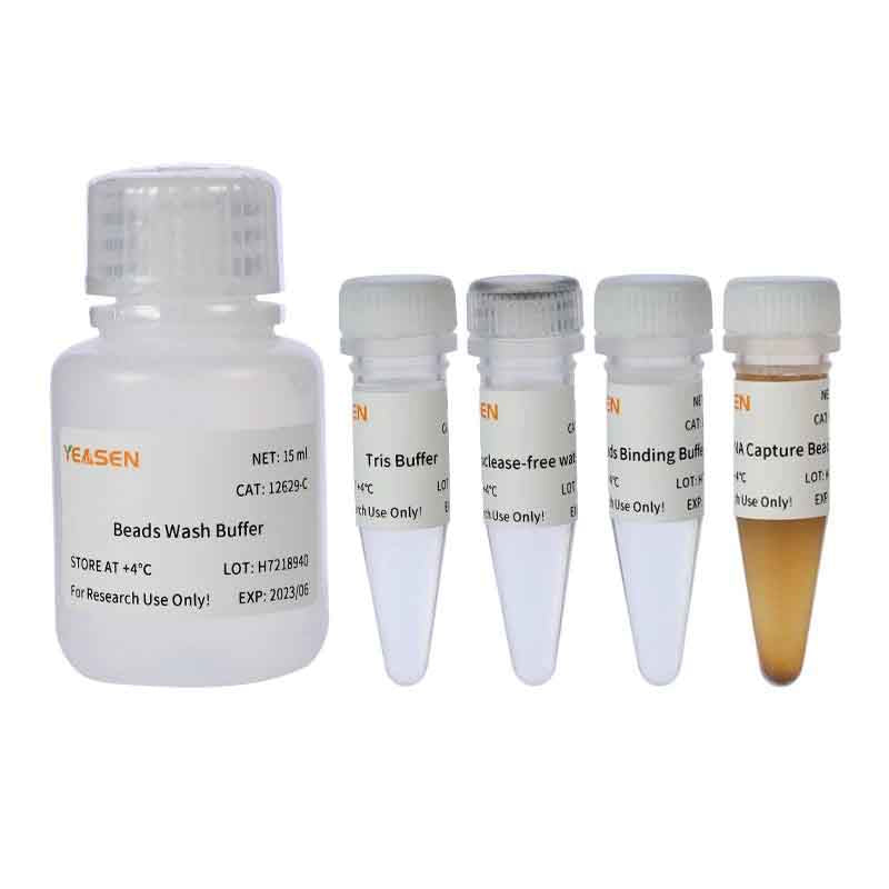 Hieff NGS™ mRNA Isolation Master Kit V2 _ 12629ES