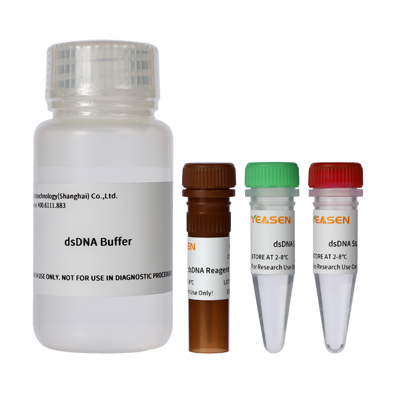 DSDNA HS Assay Kit -12640es