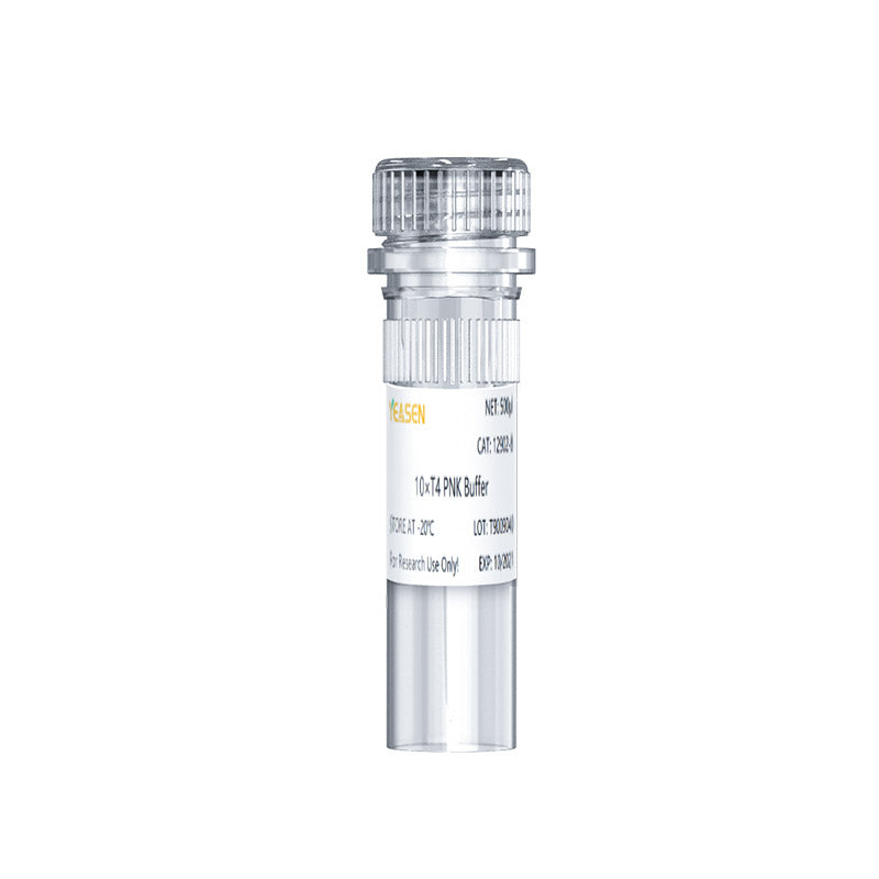 T4 -polynukleotidkinas (10 U/μL) _ 12902ES