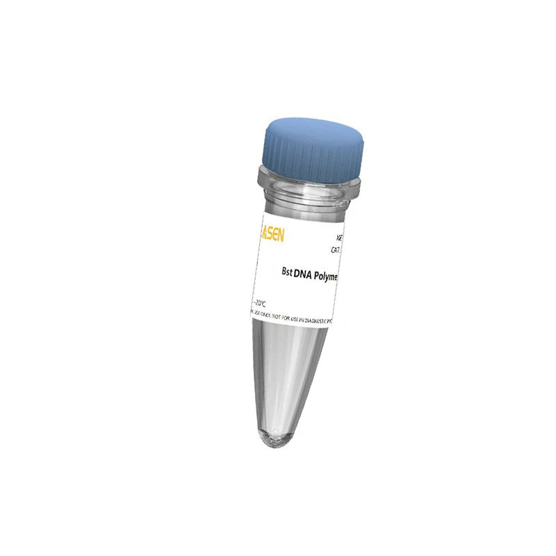 Hieff ™ Super BST DNA polimerasi (2000 U/μl) _ 14410es