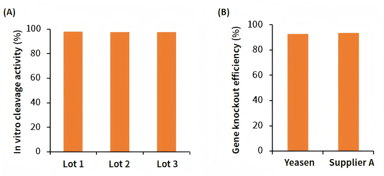 Cas9 Nuclease (10 mg/ml) _ 14701ES